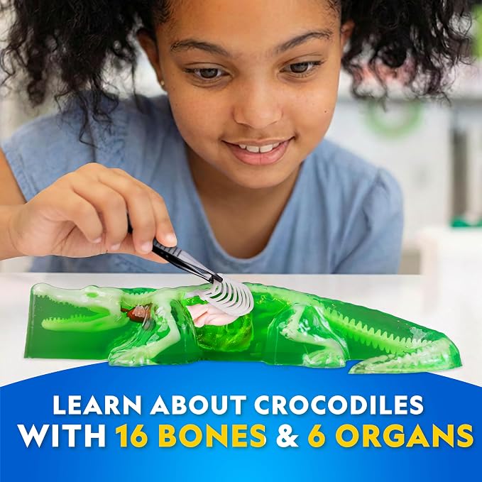 National Geographic Glow in the Dark Crocodile Dissection Lab Kit for Kids | 16 Bones and 6 Organs, Synthetic Crocodile, Refill Pack, Kid-Friendly Dissection Tools, Anatomy Learning, Birthday Gift