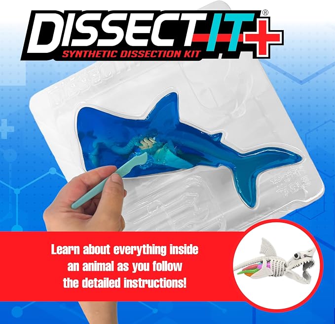 Dissect-It, Shark Dissection Kit, STEM Toys for Kids, Ages 6+ | Shark Anatomy, Examine Realistic Organs & Complete Skeleton, Then Rebuild with 2 Gel Refill Packs for STEM Learning