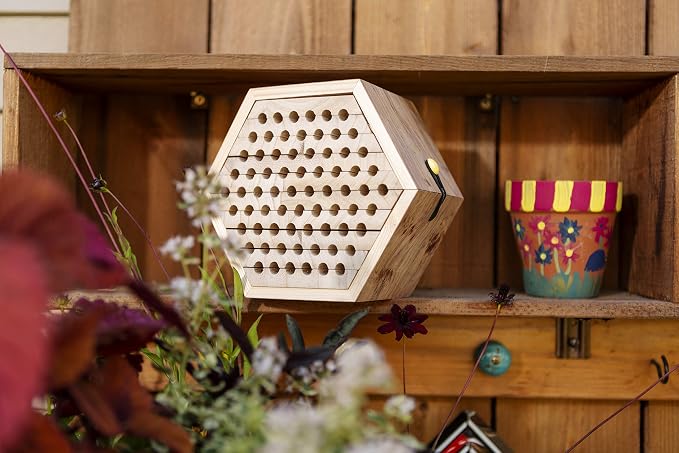 Toysmith Beetle & Bee Solitary Habitat Kit, Wooden Outdoor Science Toy | Kids Outdoor Toy, Bee House Craft, Garden Kit Learning, 13 FSC Wood Pieces, No Glue Hardware, Age 8+ Pollinator Activity