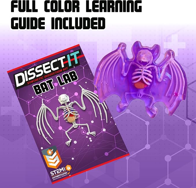 Top Secret Toys Dissect-It Mini Labs Bat Lab Dissection Kit for Kids, Realistic Synthetic Kids Science Kit - On, Biology and Animal Anatomy, STEM Toy, Ages 6+