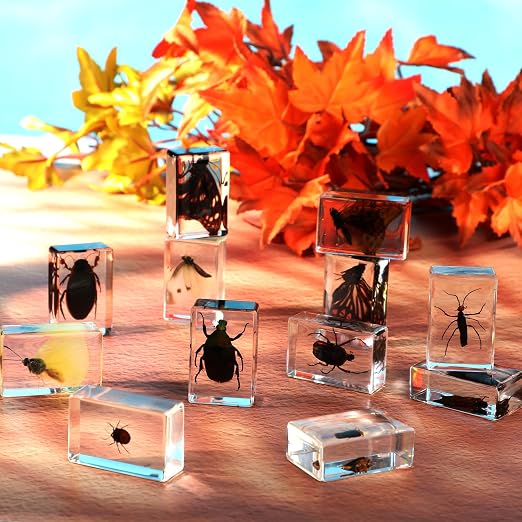 12 Pcs Insect Specimens for Kids Bug Collection Kit Real Specimens of Various Butterflies Beetles, Kids Biology Science Educational Toy, Back to School Gift for Classroom Teacher Student(Glowworm)