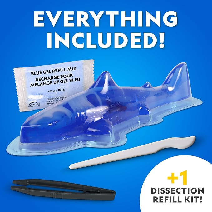 National Geographic Glow-in-the-Dark Shark Dissection Kit for Kids | Glow-in-the-Dark Great White Model, 12 Bones and Organs, Refill Pack, Kid-Friendly Tools, Shark Anatomy, Birthday Gift