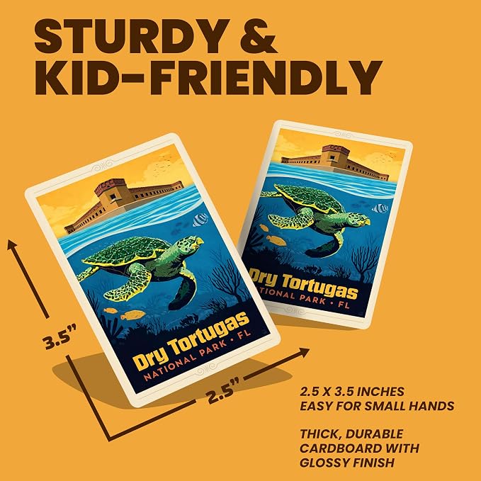 Masterpieces National Parks Memory Game - Fun Family Entertainment for Kids and Adults - Educational, Engaging, and Perfect for Game Night, Classroom Activities, and Interactive Play for All Ages