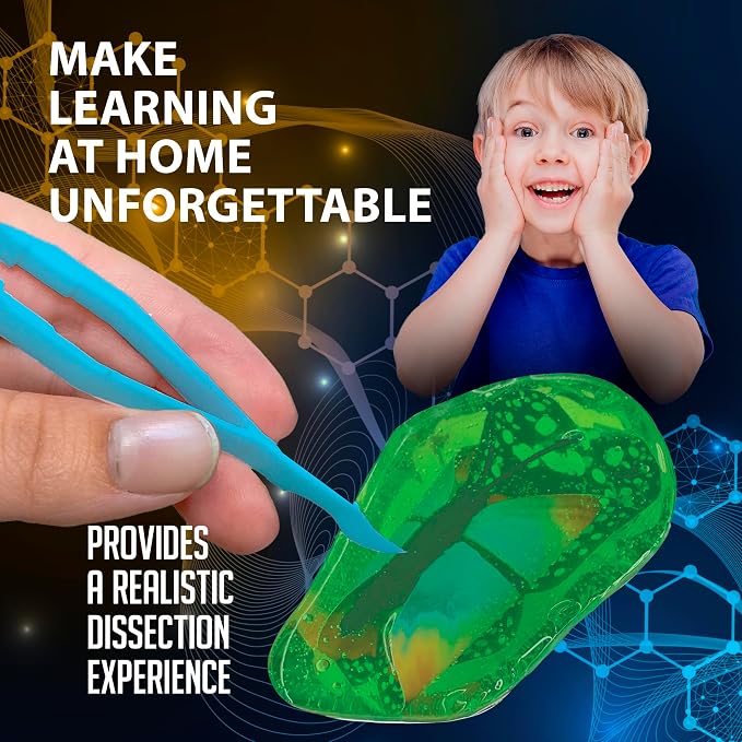 Discover it Butterfly, Science Lab Kit, STEM Toys for Kids, Ages 5+ | Butterfly Life Cycle: Open a synthetic chrysalis to discover butterfly stages while learning about metamorphosis and STEM