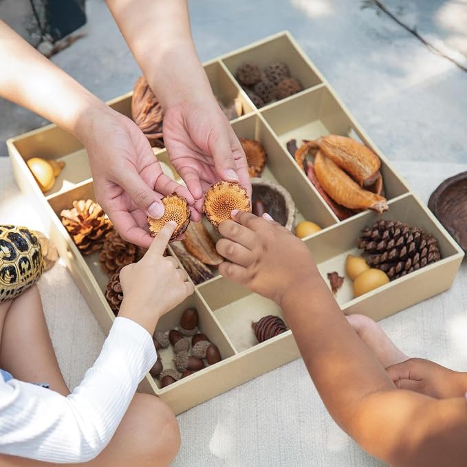 Kaplan Early Learning Company Loose Parts Stackable Tray - Poly+