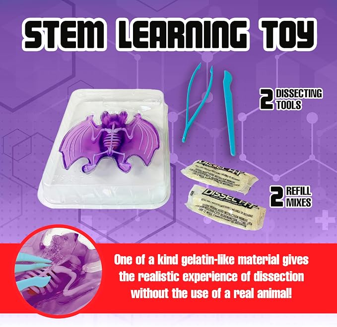 Dissect-It, Bat Dissection Kit, STEM Toys for Kids, Ages 6+ | Examine Realistic Bat Organs & Complete Skeleton, Then Rebuild with 2 Gel Refill Packs for Reusable STEM Learning