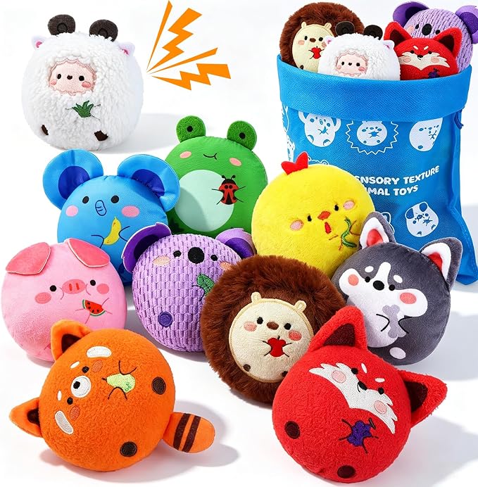 Sensory Toys Texture Bean Bags for Kids, 10 Packs | Texture Sensory Beanbags, Sensory Toys for Autism Kids, Animal Sensory Fine Motor Toys, With Storage Bag