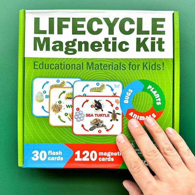 Life Cycle Toys for Kids — Magnetic Flash Cards Science Kits for Kids 3-5 | Montessori Kit with 30 Toddler Science Activities — 120 Magnetic Animal Learning Materials for Preschool Classroom