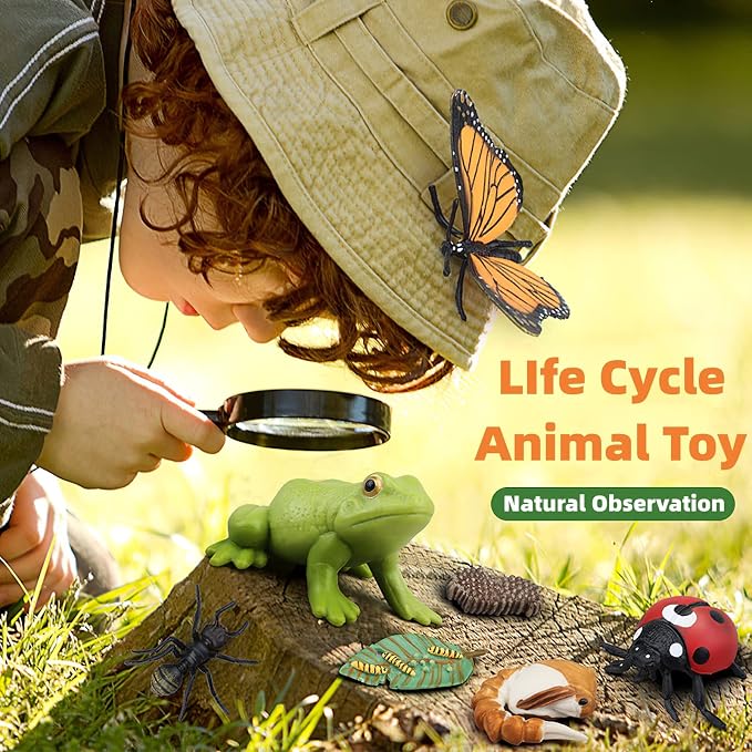 Montessori Life Cycle Animal Figures with Flash Cards, Realistic Animal Figurines Toy, Educational Matching Game for 3+ Year Old Kids (Ant)