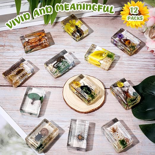 12 Pcs Insect Specimens for Kids Bug Collection Kit Real Specimens of Various Butterflies Beetles, Kids Biology Science Educational Toy, Back to School Gift for Classroom Teacher Student(Scenery)