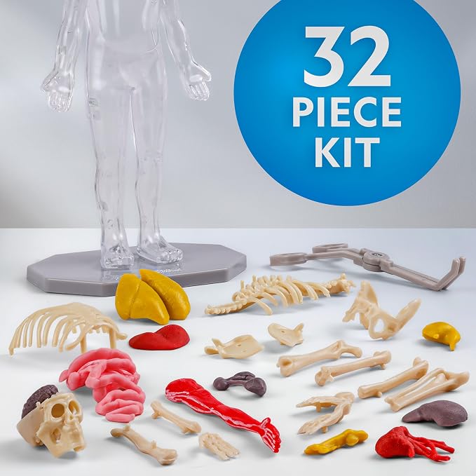 National Geographic Human Body Model for Kids 32-Piece Anatomy Set | Glow-in-the-Dark Bones, Organs & Muscles, Forceps and ID Chart, Anatomy and Physiology Learning, STEM Toy, Birthday Gift