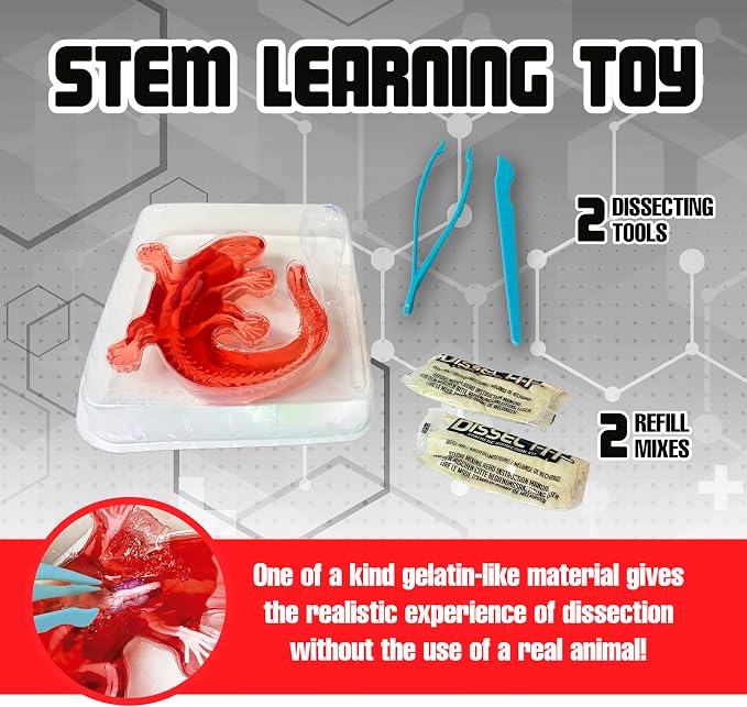 Dissect-It Kit for Kids, Simulated Synthetic Lab Dissection Toy, Salamander STEM Toys for Animal Science, Biology, and Anatomy | Salamander Anatomy, Examine Realistic Organs & Complete Skeleton, Then Rebuild with 2 Gel Refill Packs for STEM Learning