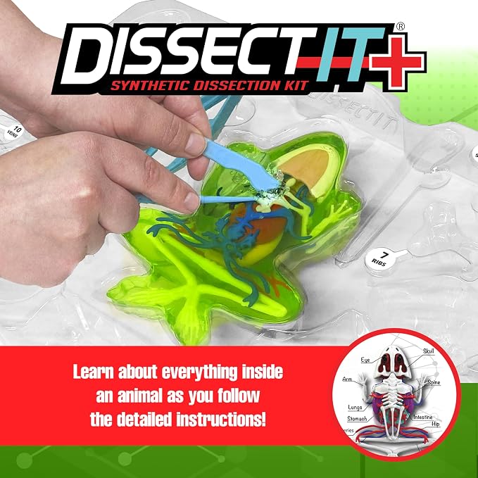 Dissect-It, Premium Frog Dissection Kit, STEM Toys for Kids, Ages 6+ | Examine Realistic Frog Organs & Complete Skeleton Using the Deluxe Frog, Dissection Tray, More Tools & 2 Gel Refill Packs