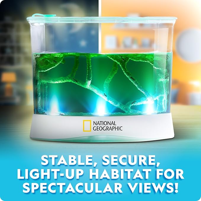 National Geographic Light-Up Ant Habitat Kit for Kids with Magnifiers | Light-Up Ant Terrarium, Built-In Magnifiers, Tunnel Starter Tool, 360-Degree Viewing, Insect Habitat, STEM Activity