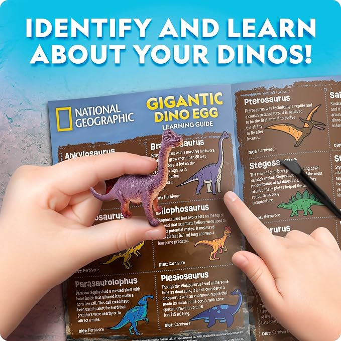 National Geographic Jumbo Dinosaur Egg Dig Kit with 12 Dino Figures | Giant 6-Inch Egg, 12 Dinosaur Figures, Replica T. Rex Tooth, Excavation Tools, Dino Dig Activity, Birthday Gift