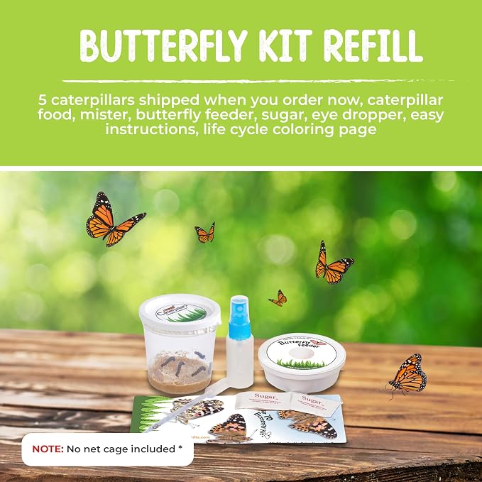 5 Live Caterpillars for Butterfly Kits, Refill with Food, Rearing Supplies | Watch caterpillar to butterfly metamorphosis: includes food, mister, feeder, sugar, eye dropper and easy instructions