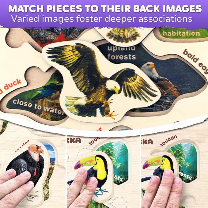 Wooden Puzzles for Toddlers 1-3 - 3 Montessori Kids Puzzles Ages 2-4 | Realistic Wood Puzzle for Toddlers 3-5 Boy and Girl - Learning Insects, Arctic Animals and Birds for Children