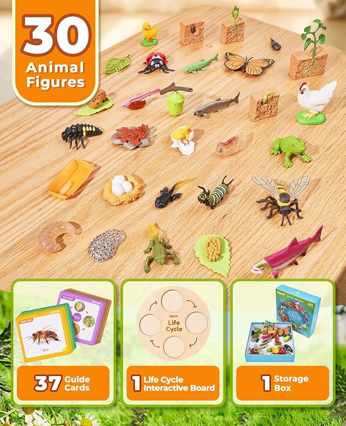 JoyCat Life Cycle Toys for Kids, 7 Animal and Plant Sets with Cards | Explore seven animal and plant life cycles with 37 cards, realistic figures, a double-sided board and storage box