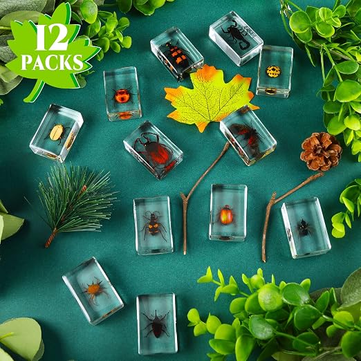 12 Pcs Insect Specimens for Kids Bug Collection Kit Real Specimens of Various Butterflies Beetles, Kids Biology Science Educational Toy, Back to School Gift for Classroom Teacher Student(Ladybug)