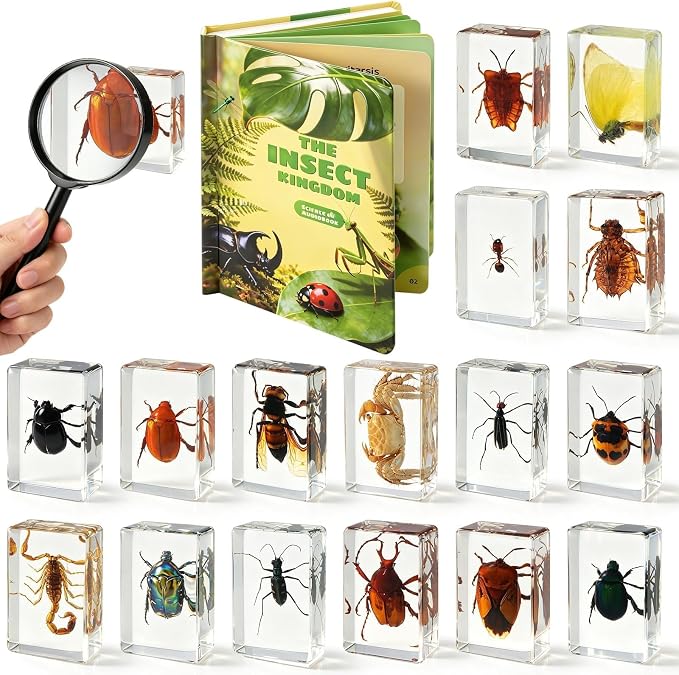 16 Pcs Real Insect in Resin Specimens Set with Magnifying Glass and Audiobooks, Various Butterflies, Bugs and Beetles Collection for Science Education, Classroom, Biology, Preschool, Home Display
