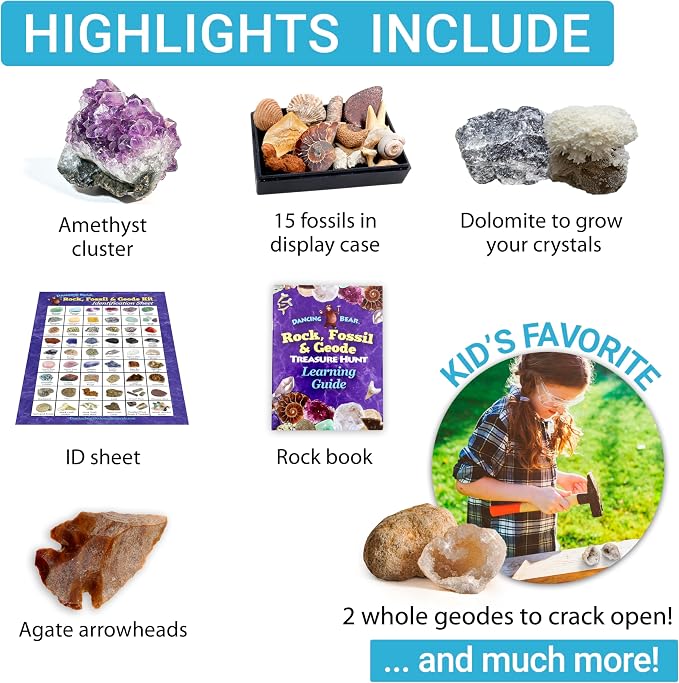 DANCING BEAR Rock, Mineral & Geodes Treasure Hunt Activity Kit (250 Pc Set) Real Shark Teeth Fossils, ID Sheet & Rock Book, STEM