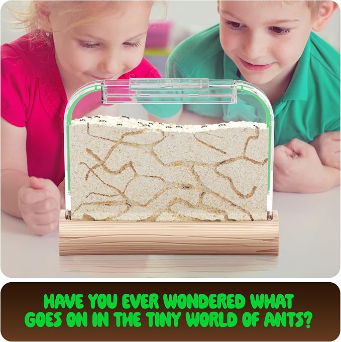 Ant Farm Kit for Kids - Farms Colony - Includes Ants Voucher - Sand Habitat | Bug Terrarium House - Educational Science Gifts for Kid - Nature Learning Toys for Boys, Girls & Adults