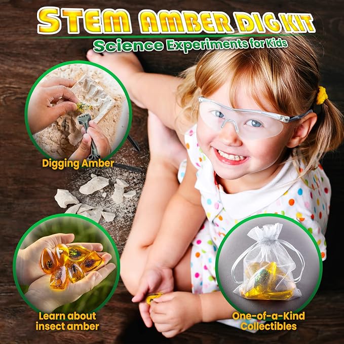 GobiDex Amber Dig Kit for Kids Ages 6+, Excavate 6 Insects Specimens | STEM Geographic Educational Bugs Toys, Excavation Toys for Fun Bugs Party Favors, Science Kits for Kids Age 6-8 8-12