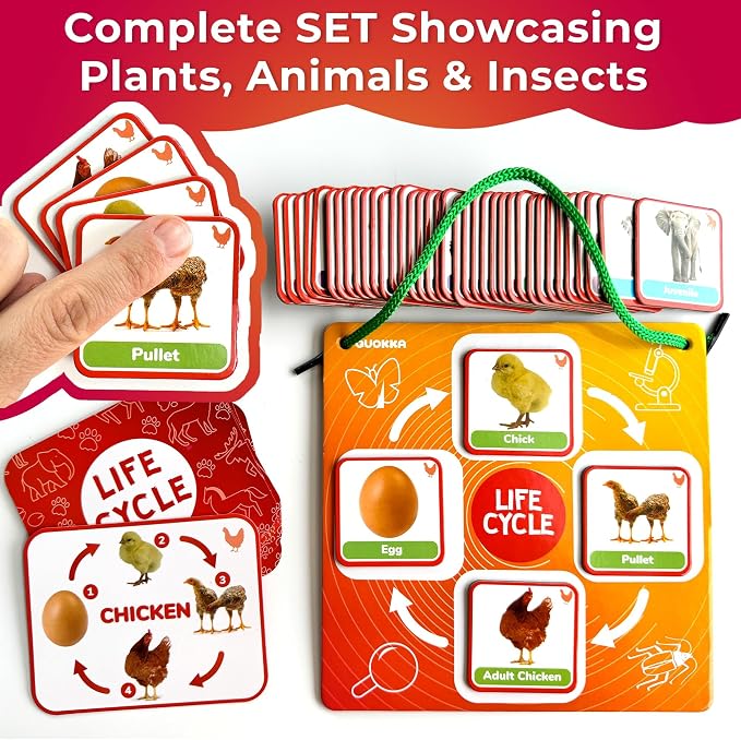 Life Cycle Toys for Kids — Magnetic Flash Cards Science Kits for Kids 3-5 | Montessori Kit with 30 Toddler Science Activities — 120 Magnetic Animal Learning Materials for Preschool Classroom