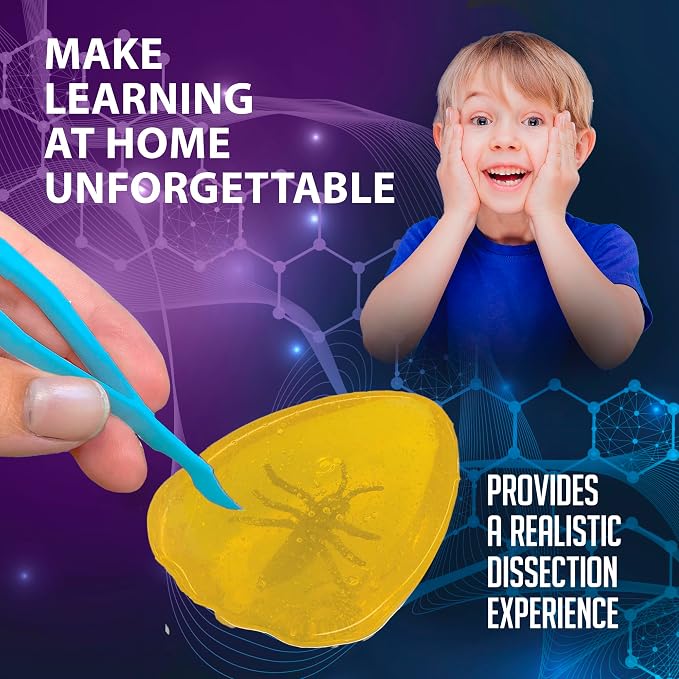 Discover-It Ancient Amber, Science Lab Kit, STEM Toys for Kids, Ages 5+ | Hidden Insect: Open synthetic amber to discover a preserved toy insect while learning about ancient life and STEM