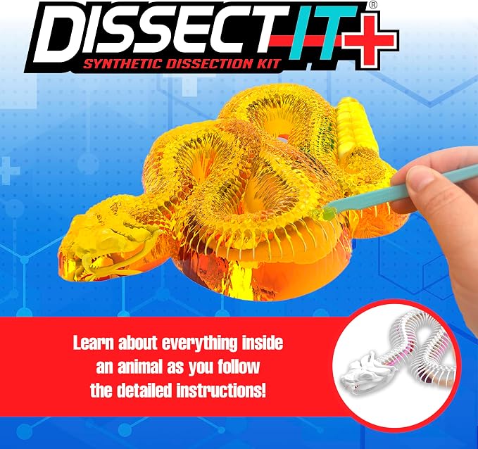 Dissect-It, Rattlesnake Dissection Kit, STEM Toys for Kids, Ages 6+ | Rattlesnake Anatomy, Examine Realistic Organs & Complete Skeleton, Then Rebuild with 2 Gel Refill Packs for STEM Learning