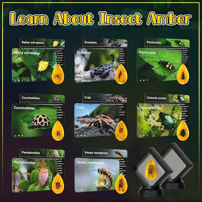 Bigger Amber Dig Kit-8 Artificial Insect Resin, Excavate Unique Insect Specimens, STEM Excavation Bugs Toys Science Kit for Kids,Educational Gifts Party Favors for Girls & Boys Age 6-8-12-14