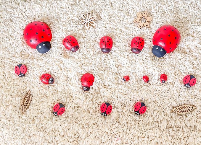 Kids Sensory Bins Montessori Sensory bin, Sensory Toys, Sensory Bins, Sensory Bin for Preschoolers (Ladybug)