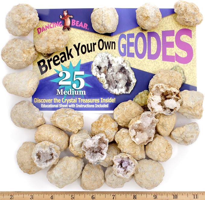 DANCING BEAR 25 Break Your Own Geodes, (Medium 1-1.5") 90% Hollow, Crack Open & Discover Amazing Surprise Crystals Inside! Educational Info and Instructions Included, Fun Party Favors & Prizes