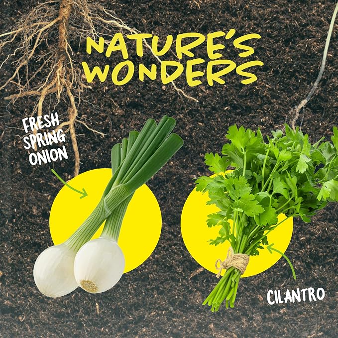 Root Viewer Kit for Kids - Grow Your Own Plant for Boys & Girls Gifts | Birthday Gifts for Boy, Girl 4, 5, 6, 7, 8, Year Old - Science STEM Toy & Craft Growing Kits for Ages 4-8, 6-8 Years