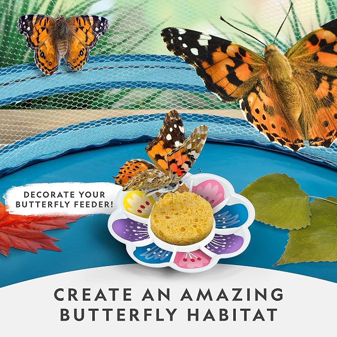 National Geographic Butterfly Growing Kit for Kids Nature Activity | Mesh Habitat, Voucher for 5 Live Caterpillars, Feeder Dish and Sponge, Metamorphosis Science, Outdoor Learning