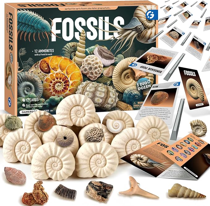 Gamerside Fossil Digging Kit, 12 Real Fossils & Dino Bones & Mess-Free Mat | Includes Learning Guide with Fossils Facts, Excavation Tools, Fun Paleontology Activity, Educational STEM Toys for Kids 6+