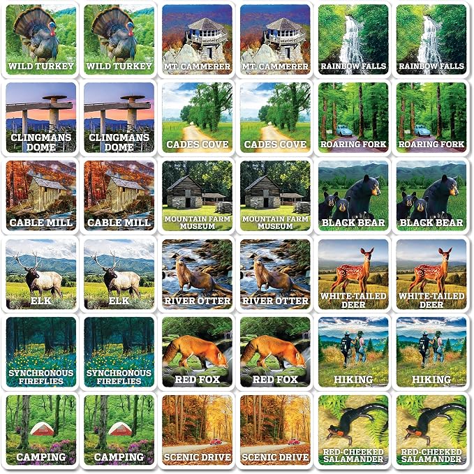 Masterpieces Officially Licensed National Parks Great Smoky Mountains Picture Matching Card Game for Kids and Families