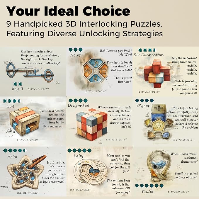 9PCS Metal Brain Teaser Puzzle Set, 3D Disentanglement Interlocking IQ Brain Puzzles for Adults & Teens, Fidget Desk Toy, Stress Relief Gift for Birthday, Christmas, Holiday & Family Party