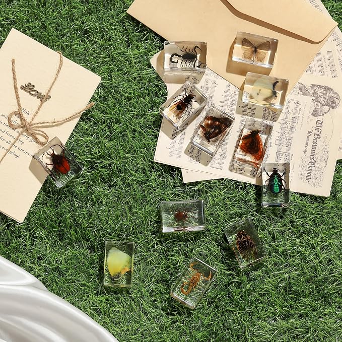 12 Pcs Insect in Resin Collection - Educational Bugs Specimen Set, for Home Desk Decor, Science Education, and Unique Display Supplies