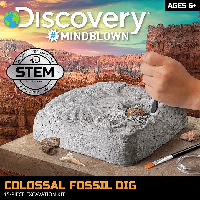 Discovery Colossal Fossil Dig Set, 15-Piece Archeology Excavation Kit, Uncover Real Shark Teeth and More, STEM Toys for Boys and Girls