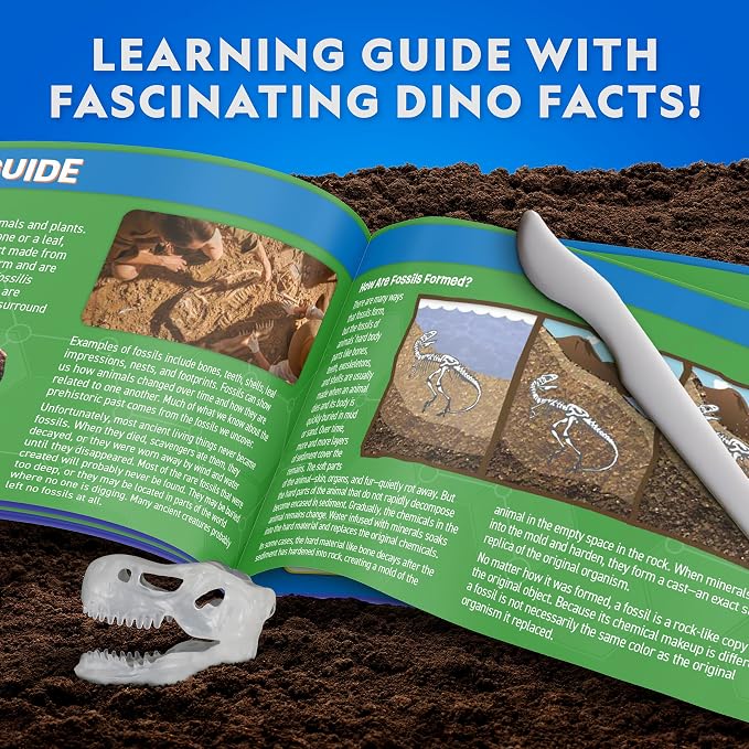 National Geographic Glow-in-the-Dark T. Rex Dissection Lab Kit for Kids | Synthetic Dinosaur, 9.5-Inch Glowing Skeleton Model, Refill Pack, Dinosaur Anatomy, STEM Activity, Birthday Gift