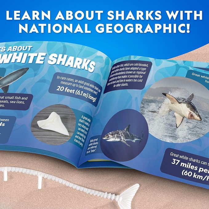 National Geographic Glow-in-the-Dark Shark Dissection Kit for Kids | Glow-in-the-Dark Great White Model, 12 Bones and Organs, Refill Pack, Kid-Friendly Tools, Shark Anatomy, Birthday Gift