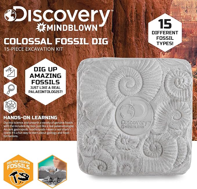 Discovery Colossal Fossil Dig Set, 15-Piece Archeology Excavation Kit, Uncover Real Shark Teeth and More, STEM Toys for Boys and Girls