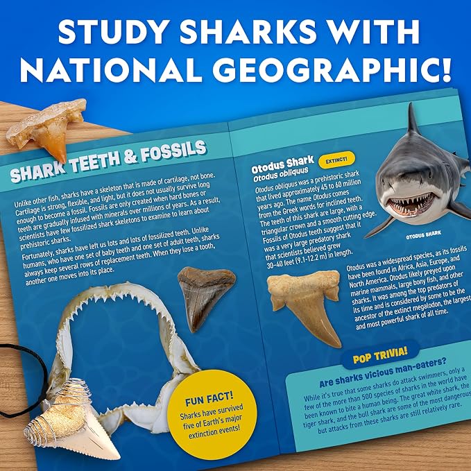 National Geographic Shark Tooth Fossil Dig Kit and Necklace for Kids | Replica Shark Teeth & Fossils, Make a Shark Tooth Necklace, Excavation Tools, Paleontology Activity, STEM Learning