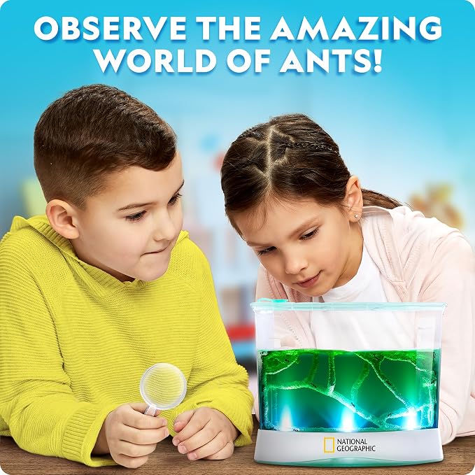 National Geographic Light-Up Ant Habitat Kit for Kids with Magnifiers | Light-Up Ant Terrarium, Built-In Magnifiers, Tunnel Starter Tool, 360-Degree Viewing, Insect Habitat, STEM Activity