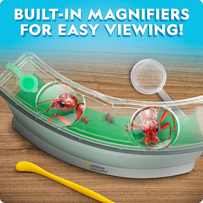 National Geographic Light-Up Ant Habitat Kit for Kids with Magnifiers | Light-Up Ant Terrarium, Built-In Magnifiers, Tunnel Starter Tool, 360-Degree Viewing, Insect Habitat, STEM Activity