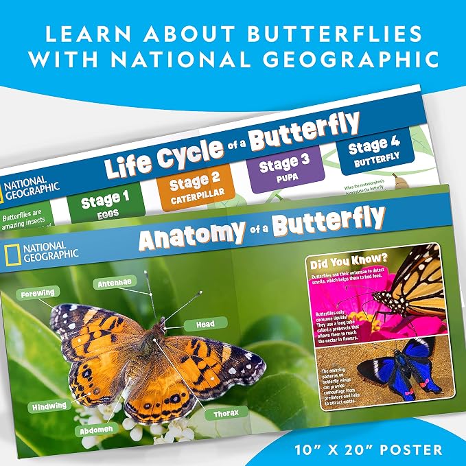 National Geographic Butterfly Growing Kit for Kids Nature Activity | Mesh Habitat, Voucher for 5 Live Caterpillars, Feeder Dish and Sponge, Metamorphosis Science, Outdoor Learning