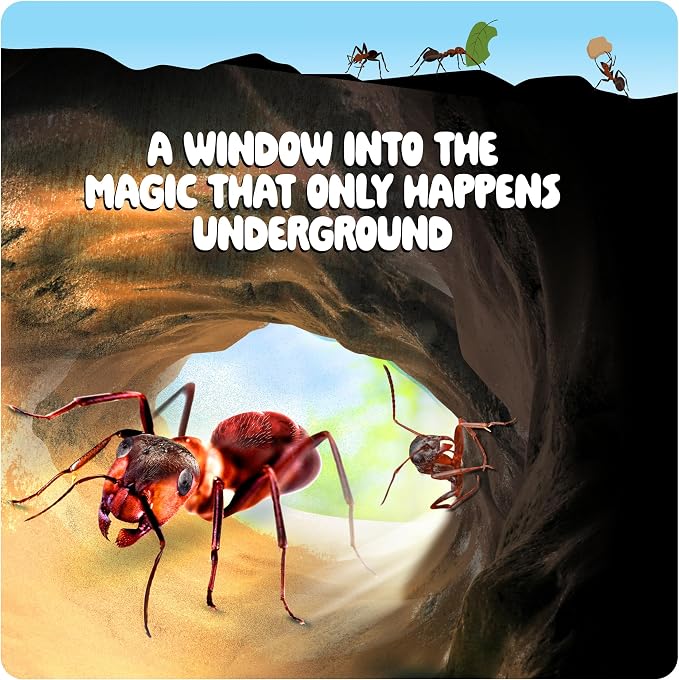 Ant Farm Kit for Kids - Farms Colony - Includes Ants Voucher - Sand Habitat | Bug Terrarium House - Educational Science Gifts for Kid - Nature Learning Toys for Boys, Girls & Adults