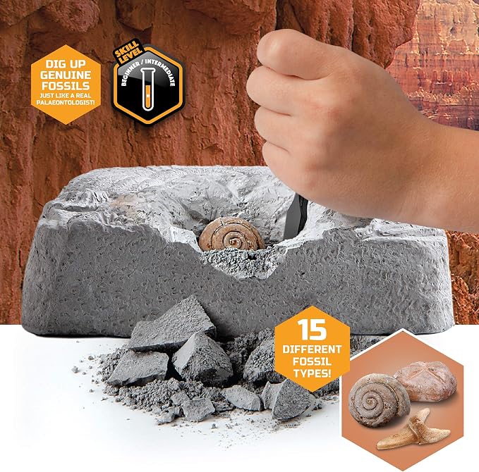 Discovery Colossal Fossil Dig Set, 15-Piece Archeology Excavation Kit, Uncover Real Shark Teeth and More, STEM Toys for Boys and Girls