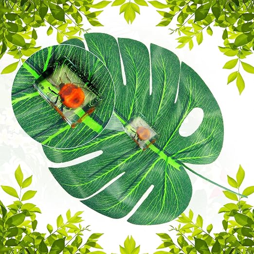 CroBlissful 6 Pcs Insect in Resin Specimen Bugs Collection Paperweights Bugs in Resin Bug Collection Kit for Kids Scientific Educational Toy Classroom Display Supplies